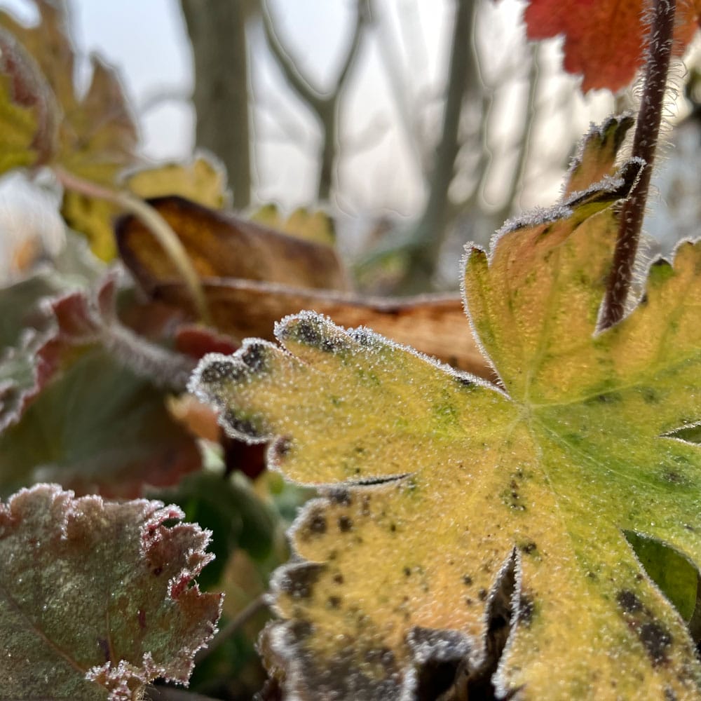 OGV_Rinklingen_Fotowettbewerb_1