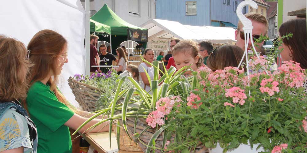 OGV_Rinklingen_Dorffest