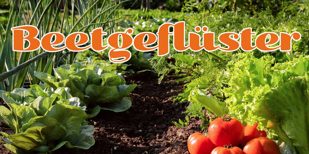 OGV_Rinklingen_Beetgefluester+